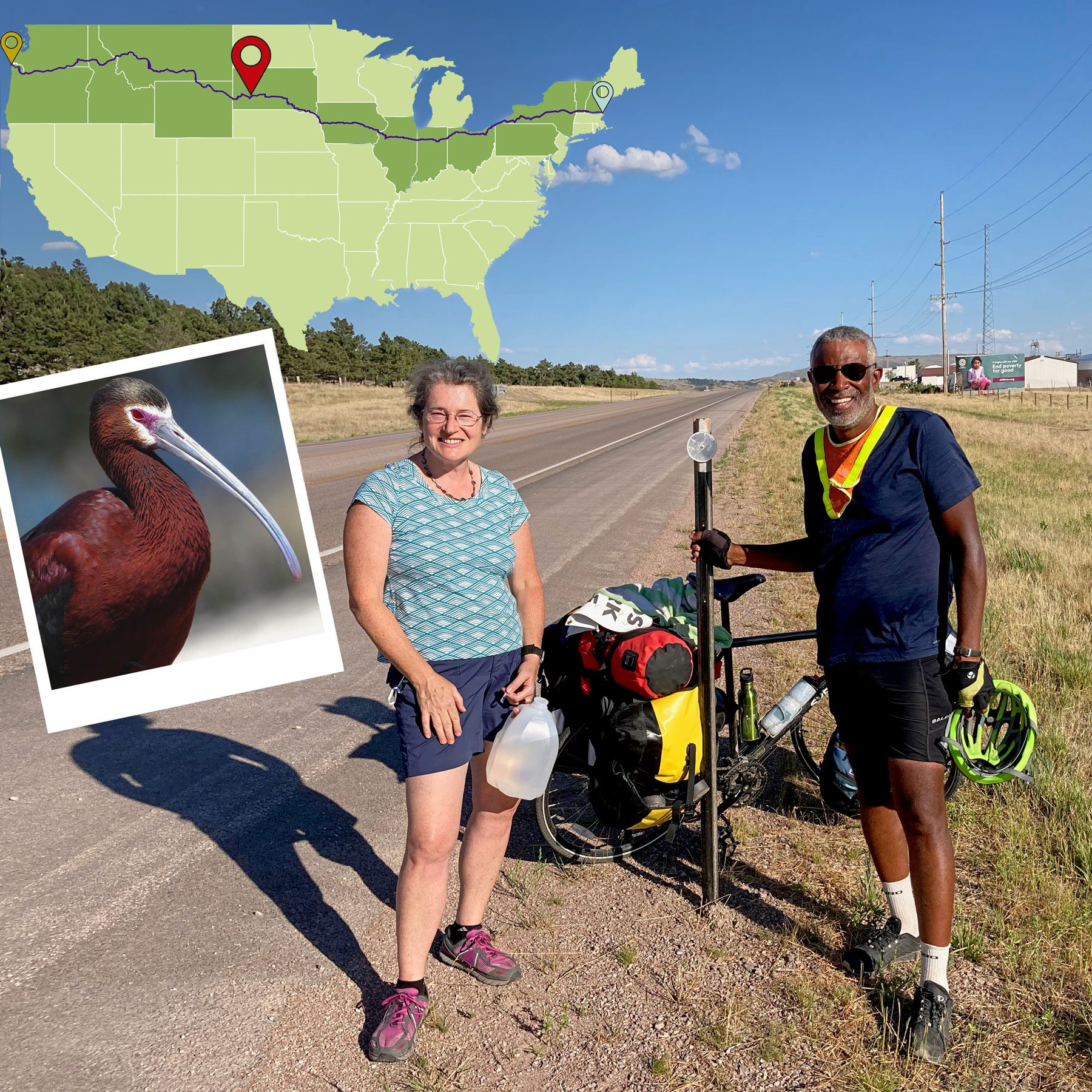 Rapid City, South Dakota: Near the Black Hills of South Dakota, Edwards was flagged down by a woman who said that she had been following the posts about his ride on Twitter. When she saw him on the road in Rapid City, she turned her car around and asked if they could talk. It turned out she was a botanist, and they spent 10 minutes talking about plants and birds. “I was very grateful to connect with someone in real life whom I had only known previously from Twitter,” Edwards said. Photo courtesy of Scott Edwards; White-faced Ibis by Kalin Ocaña /Macaulay Library. https://macaulaylibrary.org/asset/98722591