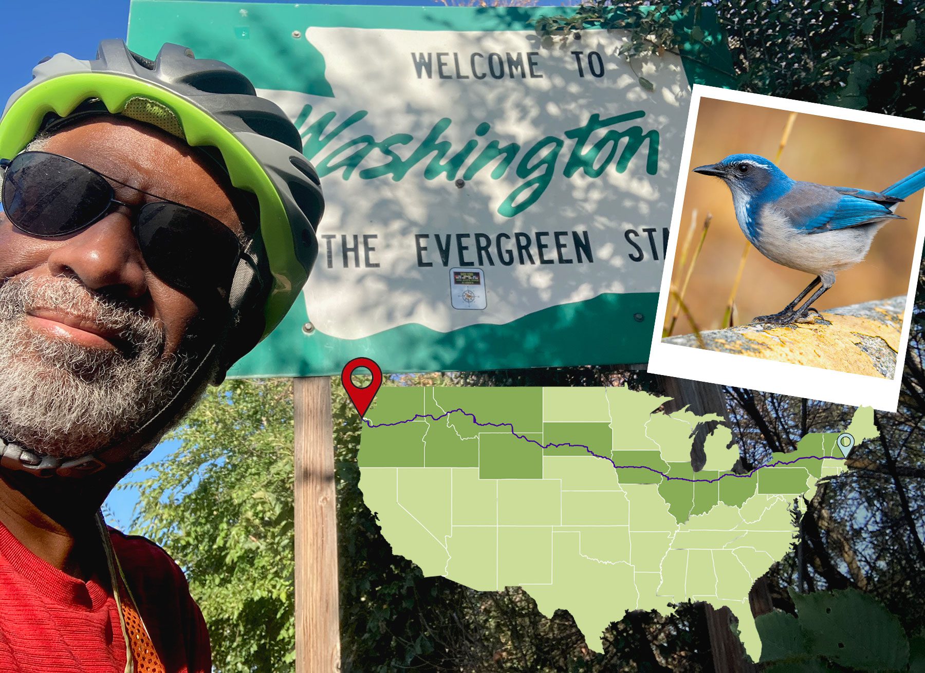 Sunset Beach, Oregon, August 20, 2020: After encountering some California Scrub-Jays on the last leg of his ride (“exciting to intersect with a species that is fairly geographically restricted,” Edwards said), Edwards finally dipped his bike tires into the Pacific Ocean at the Oregon coast. After looking for Tufted Puffins at Haystack Rock, he says he did something that wasn’t an option for most of his trip along the back roads of America—got Thai food for dinner. Photo courtesy of Scott Edwards; California Scrub-Jay by Ilya Povalyaev/Macaulay Library.