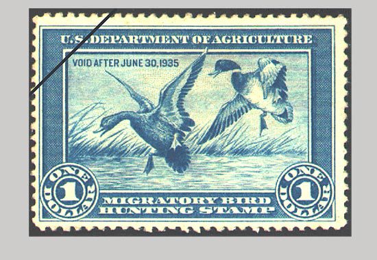 The first Duck Stamp from 1934 featuring Mallards.