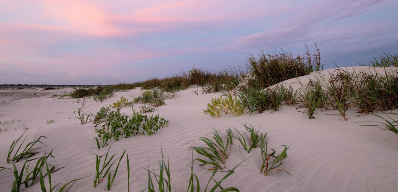 Sand dunes with vegetation and sunrise-tinted clouds.