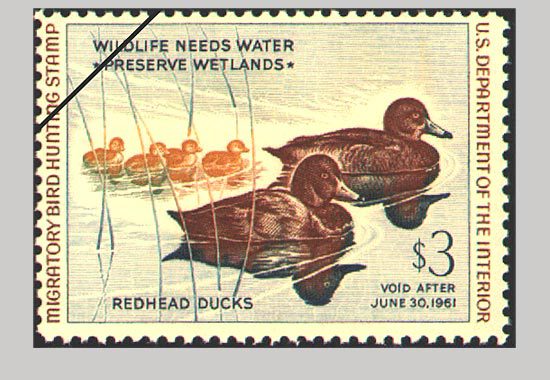 The 1960 Duck stamp featuring Redheads.