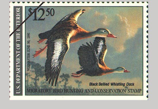 The 1990 Duck stamp featuring Black-bellied Whistling Ducks.