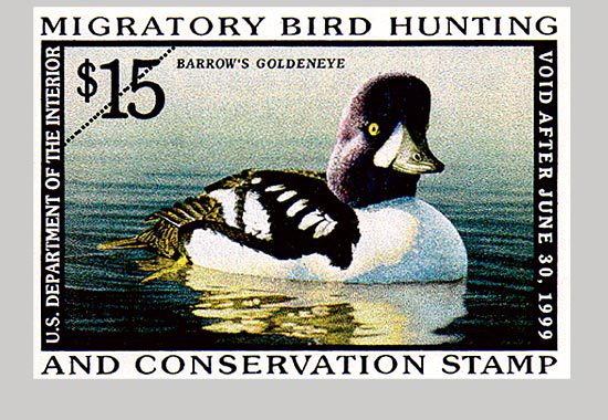 The 1998 Duck stamp featuring a Bufflehead