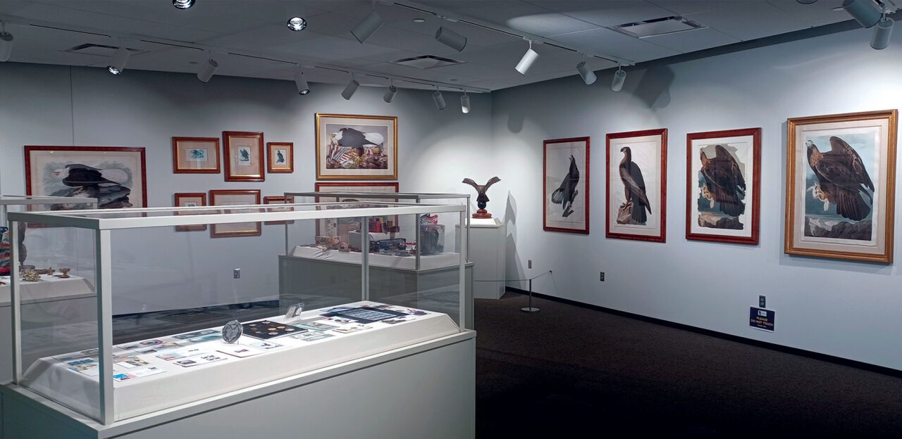 A museum room full of images, paintings and memorabilia of Bald Eagles.