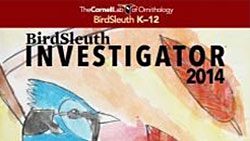 Our student magazine BirdSleuth Investigator