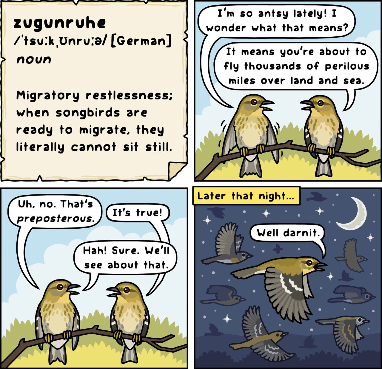 Four cells of a cartoon. 1) Zugunruhe: migratory restlessness; when songbirds are ready to migrate, they literally cannot sit still. 2) Two birds talking. First: "I'm so antsy lately! I wonder what that means?" Second: "It means you're about to fly thousands of perilous miles over land and sea." 3) First: "Uh, no. That's preposterous." Second: "It's true." First: "Hah! Sure. We'll see about that." 4) birds flying "Later that night," and first bird says "Well darnit."