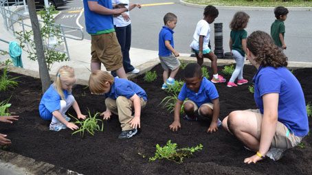 How to Create a Great Bird Garden for Your School, Bird Sleuth