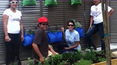 CUBs-El Paso Community College, Container Gardening Lets You Grow Plants Even if You Don't Have a Yard