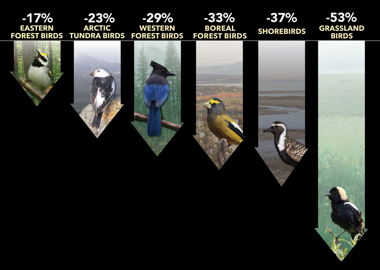 Declines in every biome