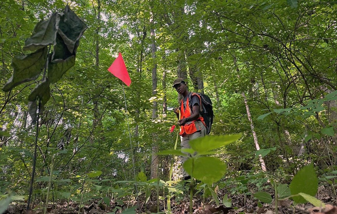 Man in the forest with an orange vest.