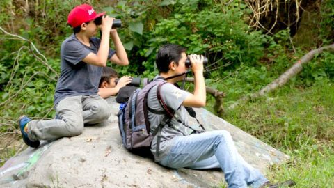 eBird Stories—Diego Guerrero-Lara