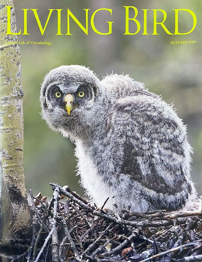 View the Autumn 2009 issue of Living Bird