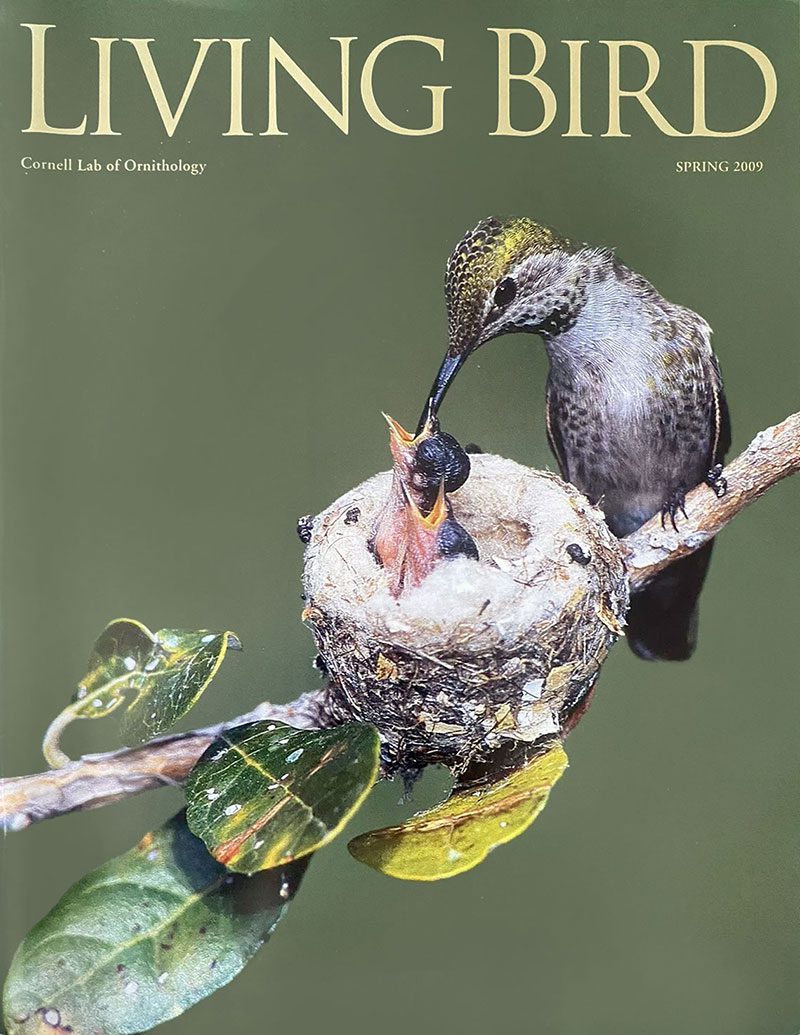 View the Spring 2009 issue of Living Bird