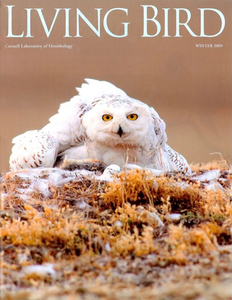 View the Winter 2009 issue of Living Bird