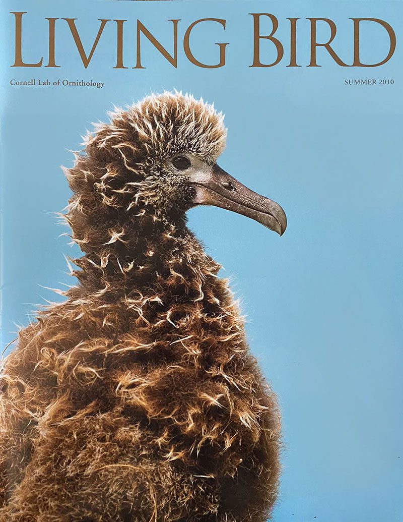 View the Summer 2010 issue of Living Bird