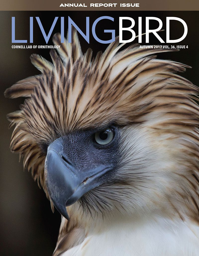 View the Autumn 2017 issue of Living Bird