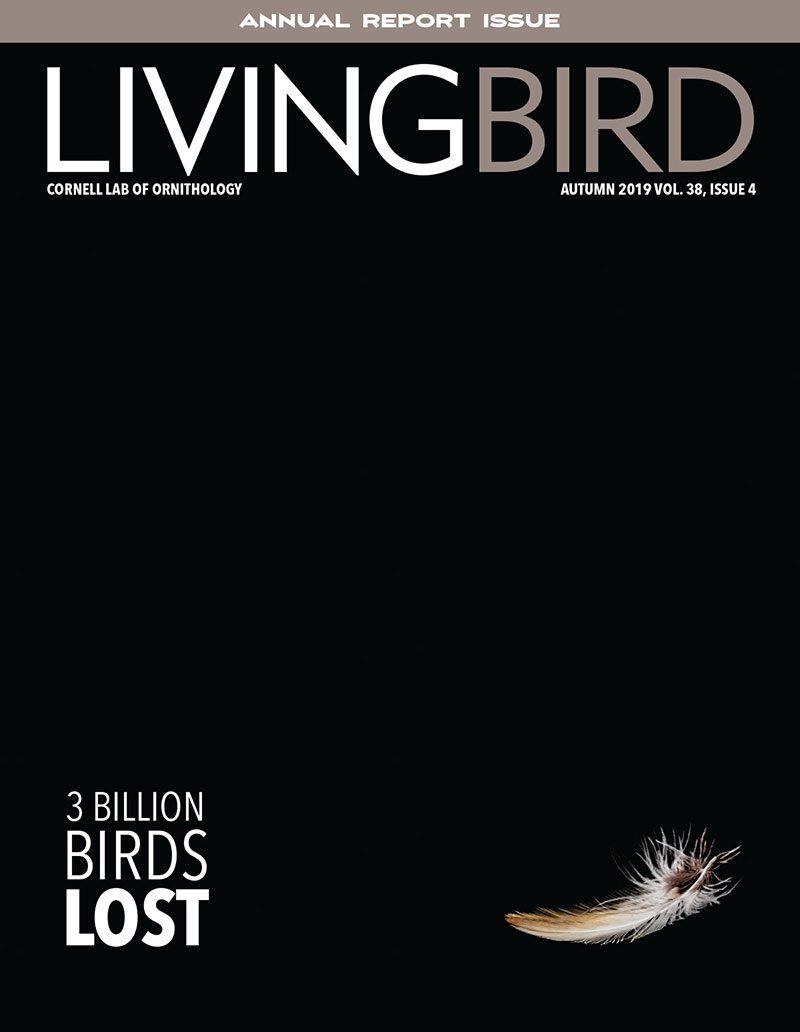 View the Autumn 2019 issue of Living Bird