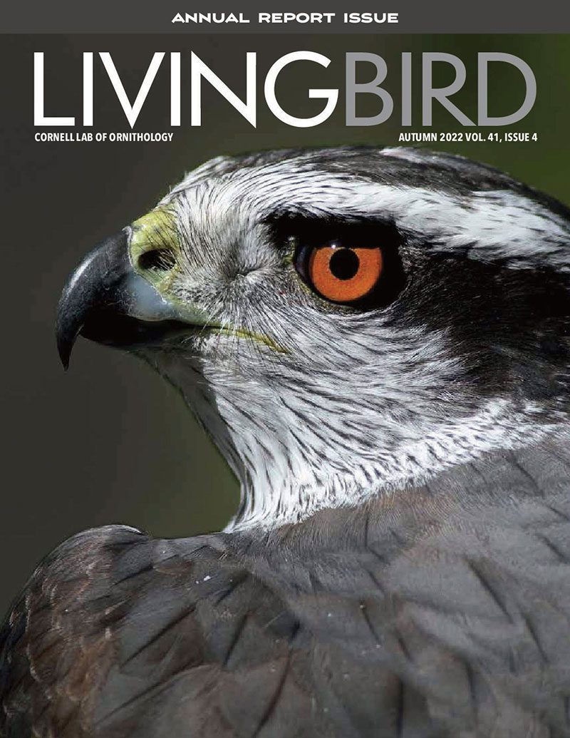 View the Autumn 2022 issue of Living Bird