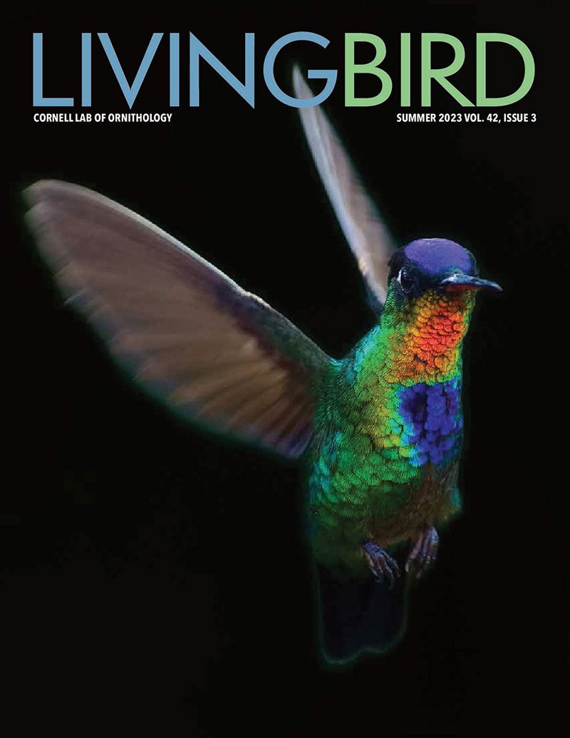 View the Summer 2023 issue of Living Bird