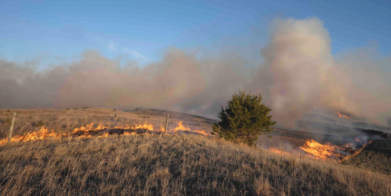 grassland field with line of fire across field.