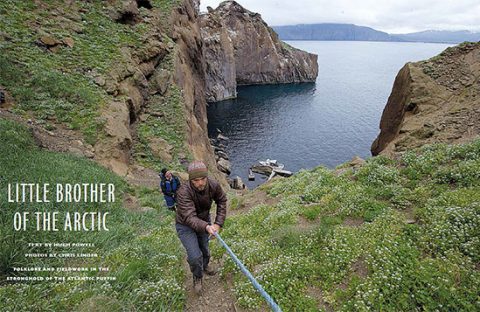 The Icelandic Saga of the Atlantic Puffin, the 