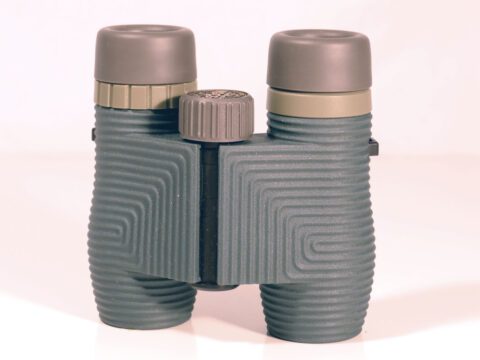 Gray-green binoculars with brown and gold eye rings and a wavy pattern on body.