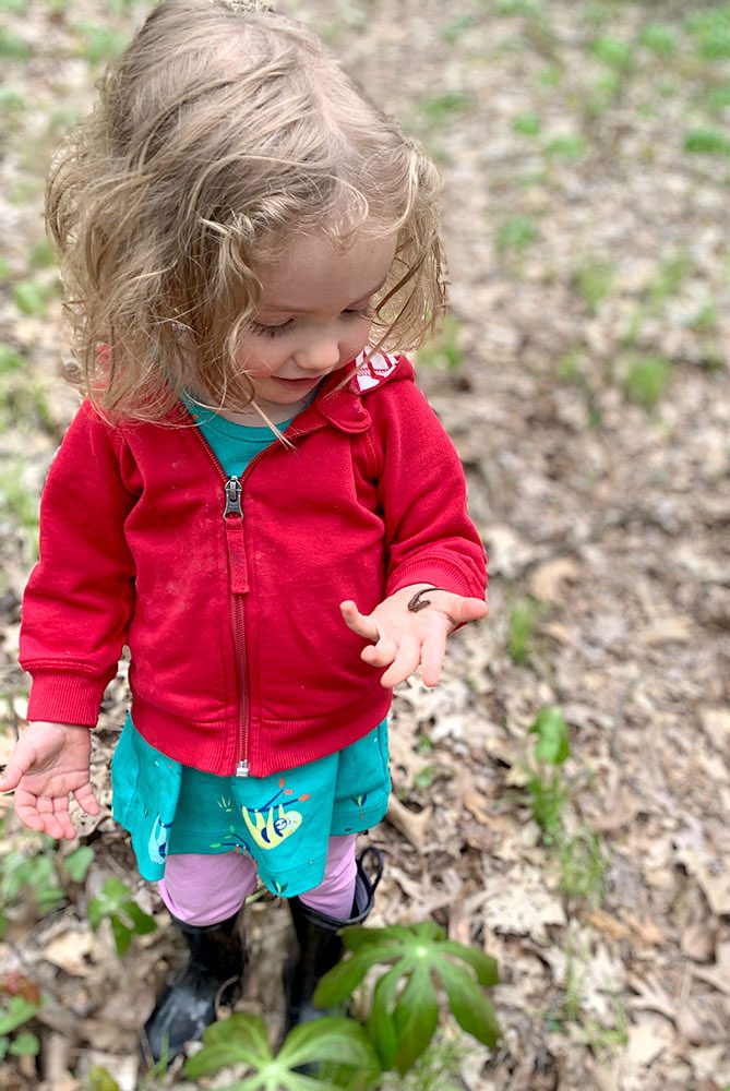 Persis Fen Fitzpatrick-Evans holds a red-backed salamander. Photo courtesy of Sarah Evans.