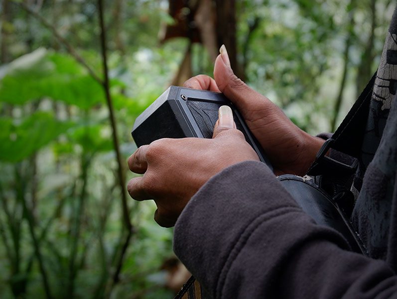 A person holds a speaker.