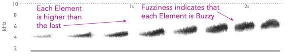 prairie warbler spectrogram