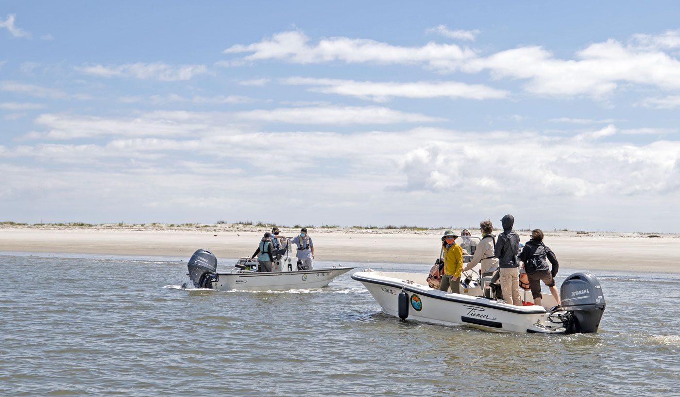 South Carolina state wildlife biologist Felicia Sanders led a flotilla of scientists and media members in May 2021 to study and document the massive Whimbrel migratory stopover roosting site on Deveaux Bank. Photo by Andy Johnson.