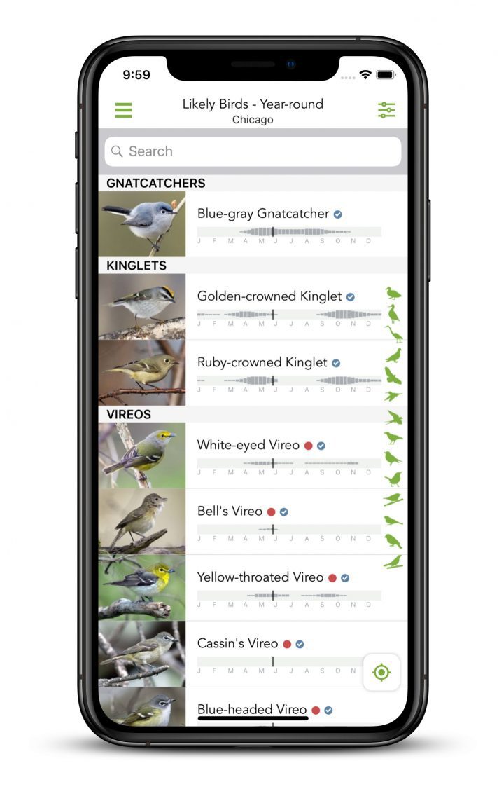 bar charts and likely species on Merlin Bird ID