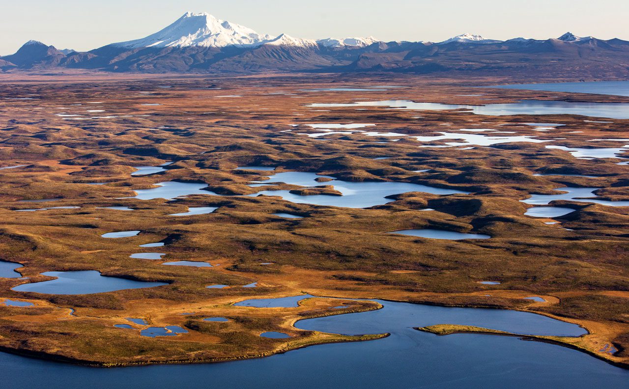 The narrow isthmus of land separating Izembek Lagoon and the Bering Sea (foreground) from Cold Bay and the Pacific Ocean (upper left), is the heart of the Izembek wilderness. A proposed road would bisect this fragile wilderness. Photo by Gerrit Vyn.