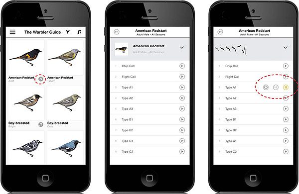 browsing the many sound and song features of the warbler guide app