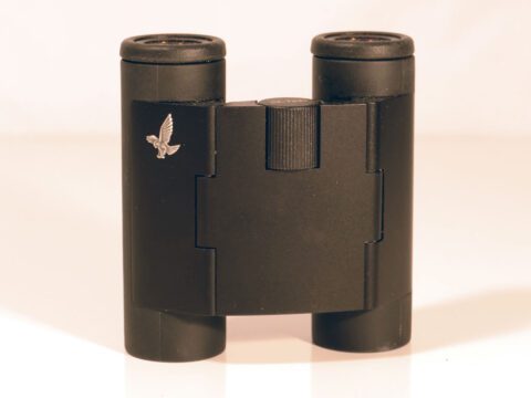 Black binoculars with a small, silver eagle.