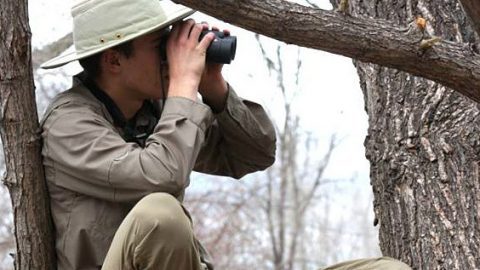 tennager birwatching, Photo © Karen Izdepski