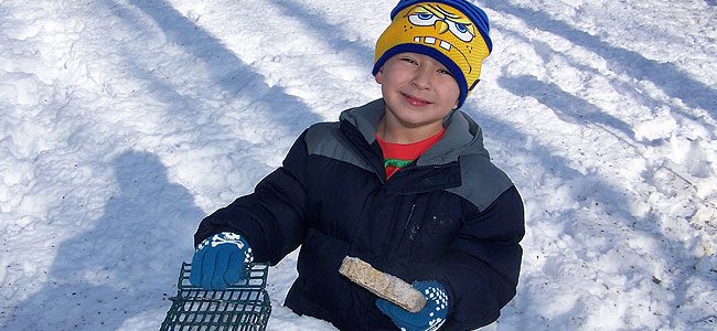 boy replaces suet in bird feeder