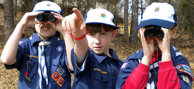 scouts go bird watching