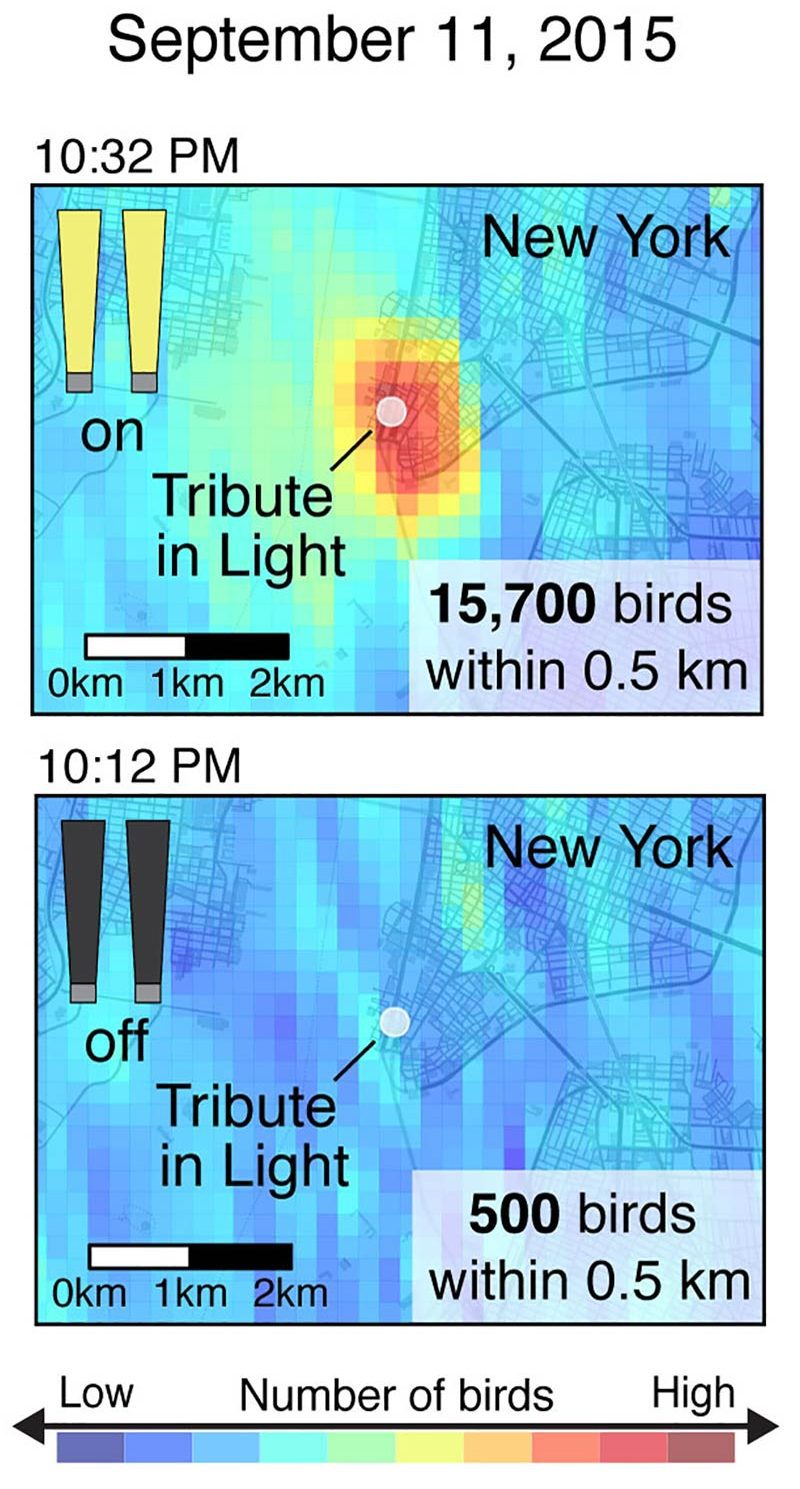 radar image of birds migrating over New York with tribute in light beams on vs off