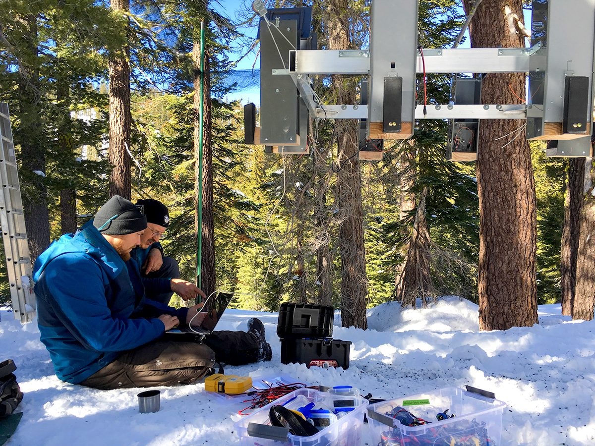 researchers work on a computerized bird feeder array