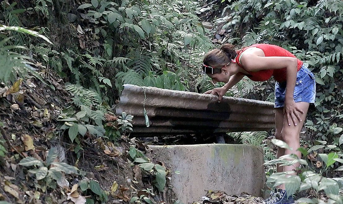 A natural spring provides water for Veronica's farm. Photos by Cornell Lab Multimedia.