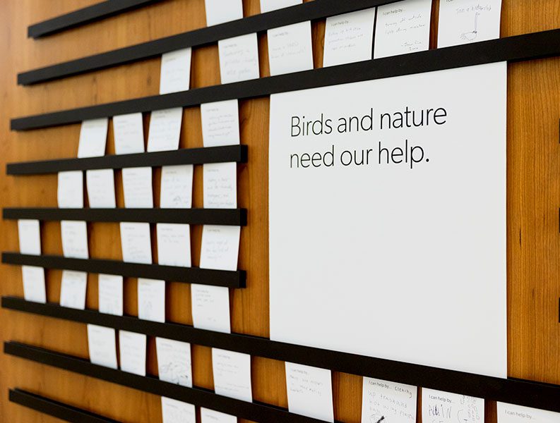 Wood board with white cards on it and a sign: "Birds and nature need our help."