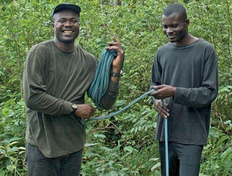 Elephants are a keystone species that helps maintain the forest. I want to protect them and their habitat. — Clement Inkamba Nkulu