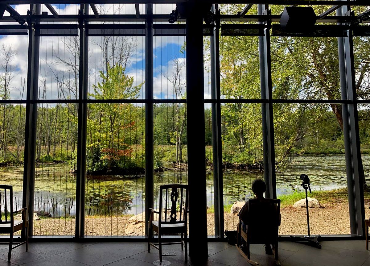 a person in a rocking chair looks at trees and a pond through a wall of windows