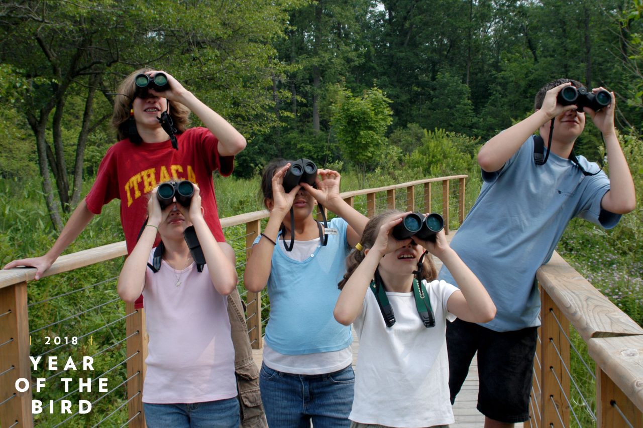 children birding by Susan Spear/Cornell Lab